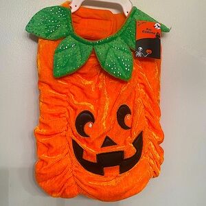NEW DOG PET COSTUME SIZE MEDIUM ORANGE PUMPKIN